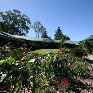 The Bearded Dragon Boutique *** Gold Coast